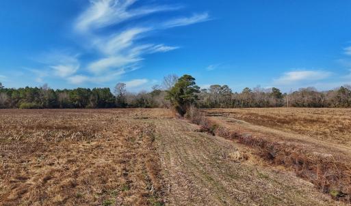 Photo #45 of SOLD property in Off Durwood Evans Rd, Beulaville, NC 31.6 acres