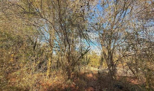 Photo #48 of SOLD property in Off Durwood Evans Rd, Beulaville, NC 31.6 acres