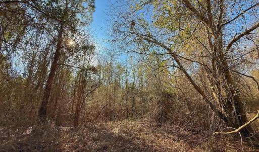 Photo #51 of SOLD property in Off Durwood Evans Rd, Beulaville, NC 31.6 acres
