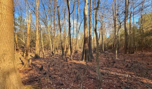 Photo #55 of SOLD property in Off Durwood Evans Rd, Beulaville, NC 31.6 acres