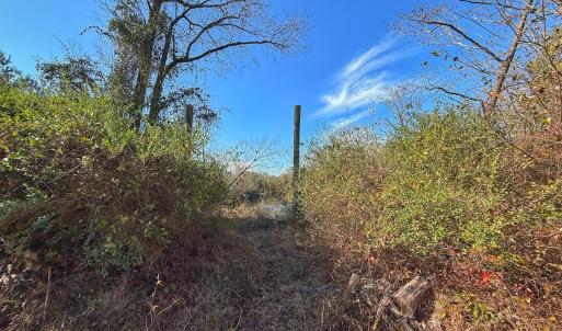 Photo #56 of SOLD property in Off Durwood Evans Rd, Beulaville, NC 31.6 acres