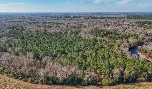 Photo #8 of SOLD property in Off Durwood Evans Rd, Beulaville, NC 31.6 acres