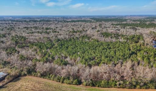 Photo #10 of SOLD property in Off Durwood Evans Rd, Beulaville, NC 31.6 acres