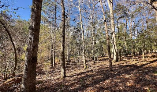 Photo #11 of 146 Bayview Court, New London, NC 0.9 acres