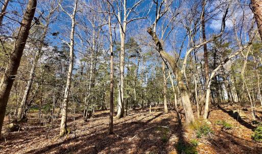 Photo #12 of 146 Bayview Court, New London, NC 0.9 acres
