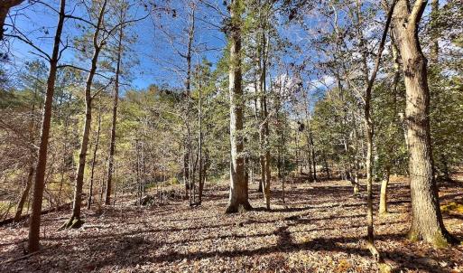 Photo #15 of 146 Bayview Court, New London, NC 0.9 acres