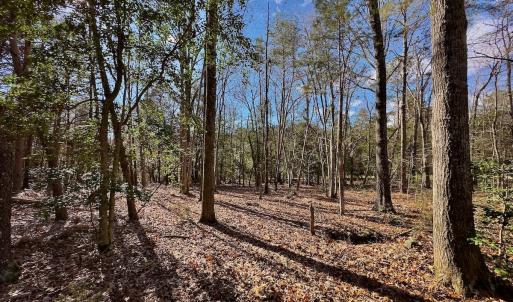 Photo #16 of 146 Bayview Court, New London, NC 0.9 acres