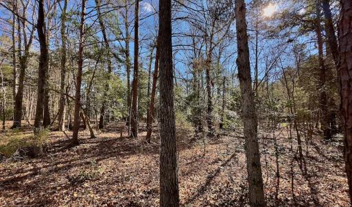 Photo #17 of 146 Bayview Court, New London, NC 0.9 acres
