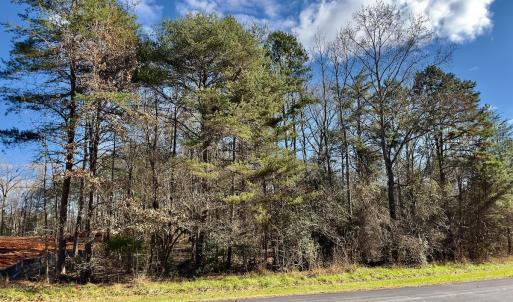 Photo #3 of 146 Bayview Court, New London, NC 0.9 acres