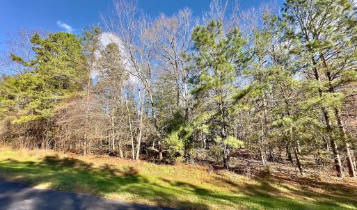 Photo #5 of 146 Bayview Court, New London, NC 0.9 acres