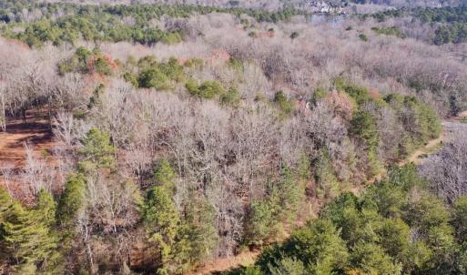 Photo #7 of 146 Bayview Court, New London, NC 0.9 acres