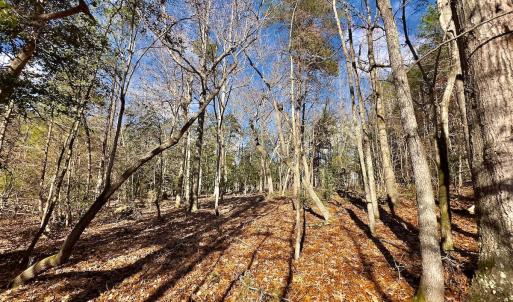 Photo #9 of 146 Bayview Court, New London, NC 0.9 acres