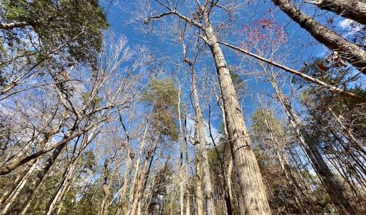 Photo #10 of 146 Bayview Court, New London, NC 0.9 acres