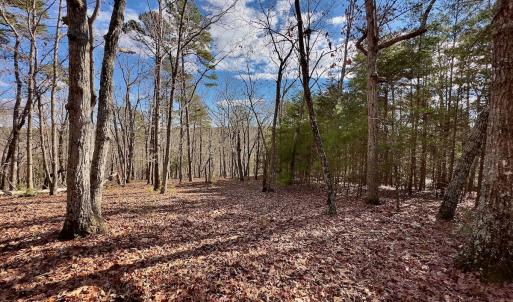 Photo #11 of 511 Whisper Lake Drive, New London, NC 2.9 acres