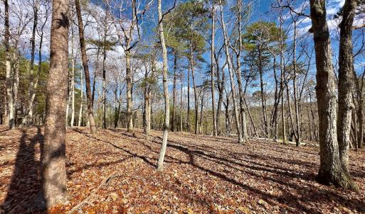 Photo #12 of 511 Whisper Lake Drive, New London, NC 2.9 acres