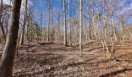 Photo #14 of 511 Whisper Lake Drive, New London, NC 2.9 acres