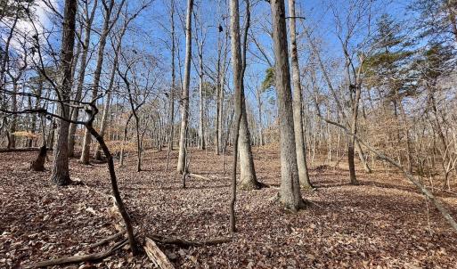 Photo #17 of 511 Whisper Lake Drive, New London, NC 2.9 acres
