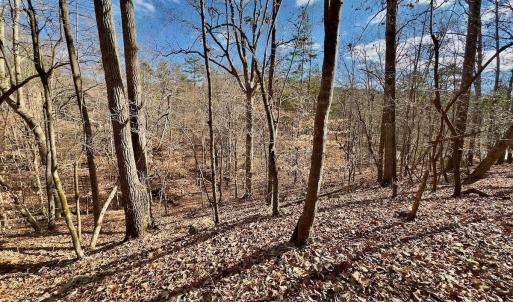 Photo #19 of 511 Whisper Lake Drive, New London, NC 2.9 acres