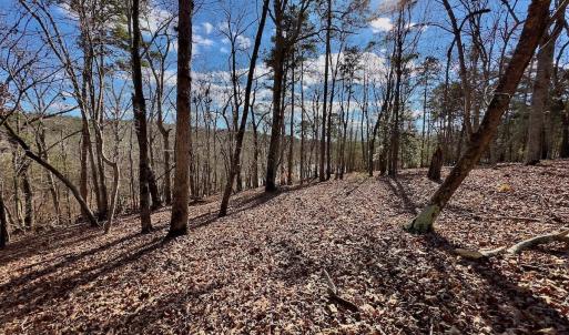 Photo #21 of 511 Whisper Lake Drive, New London, NC 2.9 acres