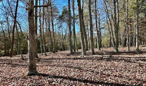 Photo #22 of 511 Whisper Lake Drive, New London, NC 2.9 acres