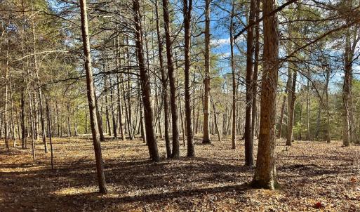 Photo #23 of 511 Whisper Lake Drive, New London, NC 2.9 acres