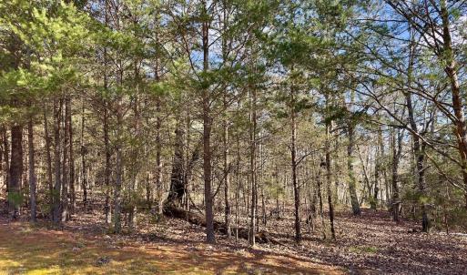 Photo #9 of 511 Whisper Lake Drive, New London, NC 2.9 acres