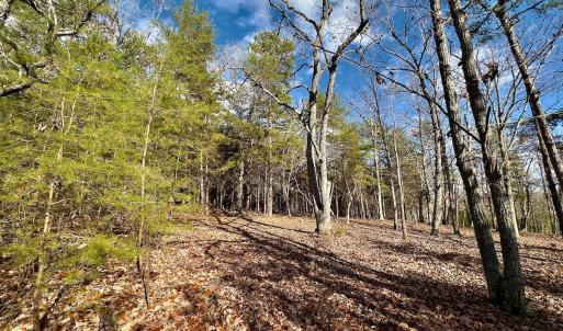 Photo #10 of 511 Whisper Lake Drive, New London, NC 2.9 acres