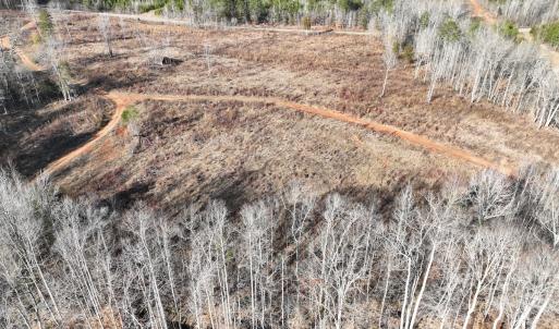 Photo #12 of  Off Green Level Rd, Scottsburg, VA 185.4 acres