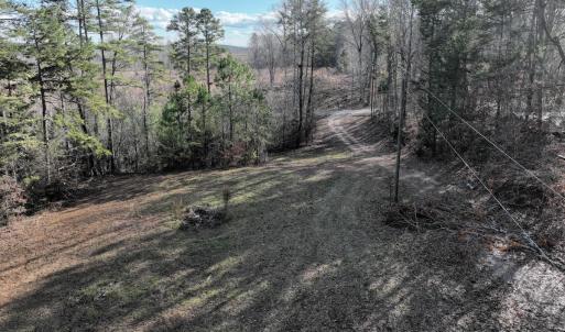 Photo #13 of  Off Green Level Rd, Scottsburg, VA 185.4 acres