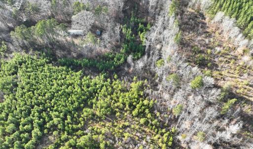 Photo #16 of  Off Green Level Rd, Scottsburg, VA 185.4 acres