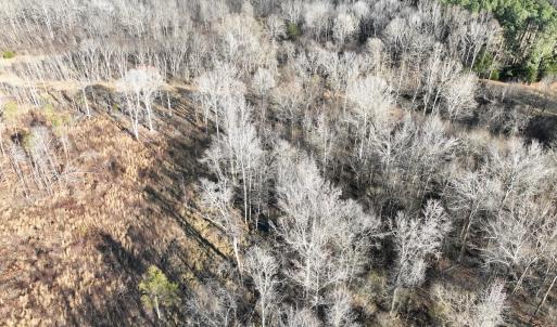 Photo #18 of  Off Green Level Rd, Scottsburg, VA 185.4 acres