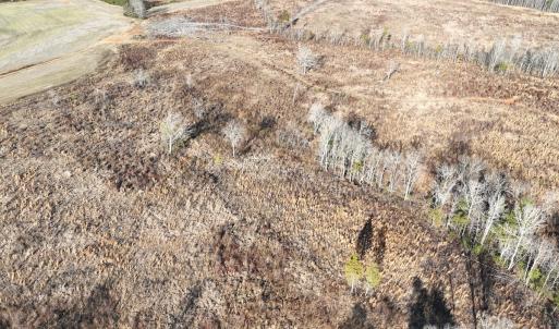 Photo #2 of  Off Green Level Rd, Scottsburg, VA 185.4 acres