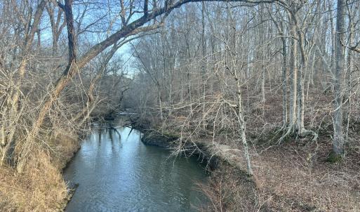 Photo #3 of  Off Green Level Rd, Scottsburg, VA 185.4 acres