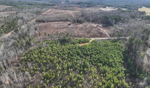 Photo #7 of  Off Green Level Rd, Scottsburg, VA 185.4 acres