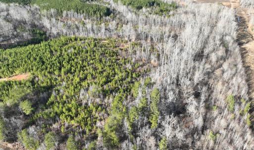 Photo #8 of  Off Green Level Rd, Scottsburg, VA 185.4 acres