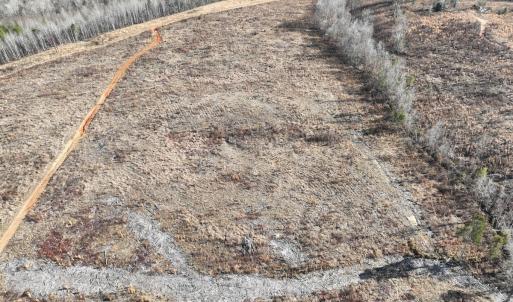 Photo #28 of  Off Green Level Rd, Scottsburg, VA 185.4 acres