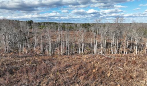 Photo #34 of  Off Green Level Rd, Scottsburg, VA 185.4 acres