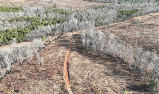 Photo #22 of  Off Green Level Rd, Scottsburg, VA 185.4 acres