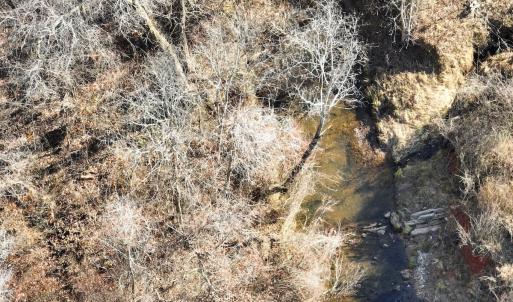 Photo #24 of  Off Green Level Rd, Scottsburg, VA 185.4 acres