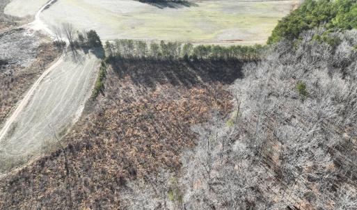 Photo #25 of  Off Green Level Rd, Scottsburg, VA 185.4 acres