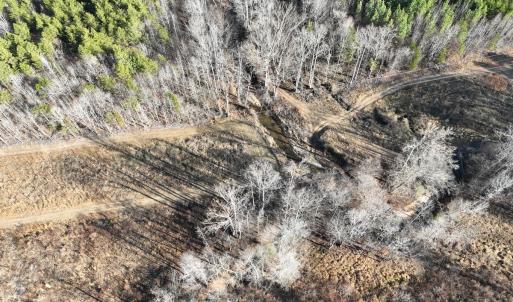 Photo #47 of  Off Green Level Rd, Scottsburg, VA 185.4 acres