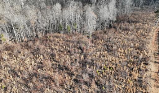 Photo #52 of  Off Green Level Rd, Scottsburg, VA 185.4 acres