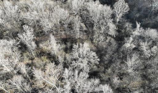 Photo #55 of  Off Green Level Rd, Scottsburg, VA 185.4 acres