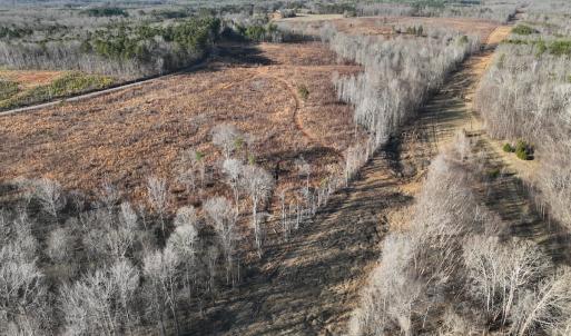 Photo #56 of  Off Green Level Rd, Scottsburg, VA 185.4 acres