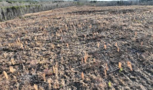 Photo #58 of  Off Green Level Rd, Scottsburg, VA 185.4 acres