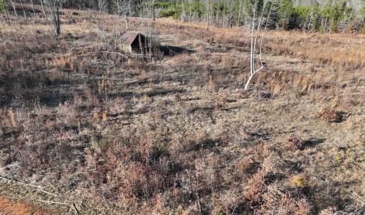 Photo #61 of  Off Green Level Rd, Scottsburg, VA 185.4 acres