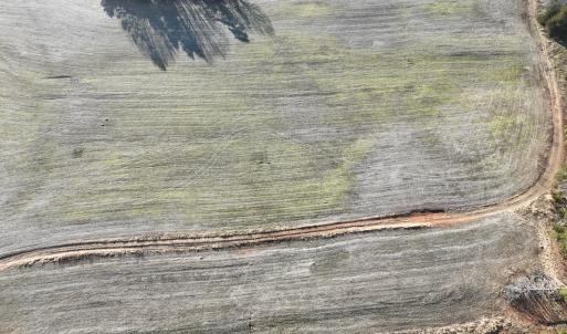 Photo #62 of  Off Green Level Rd, Scottsburg, VA 185.4 acres