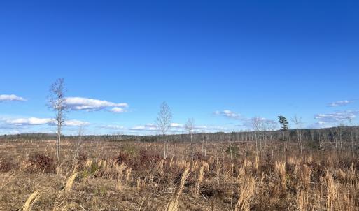 Photo #64 of  Off Green Level Rd, Scottsburg, VA 185.4 acres