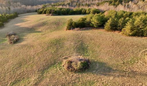 Photo #10 of 2743 Johnson School Road, Thaxton, VA 154.6 acres