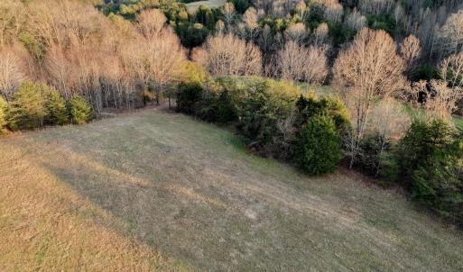 Photo #11 of 2743 Johnson School Road, Thaxton, VA 154.6 acres